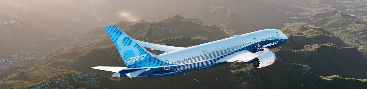 787-8 Dreamliner in Boeing livery, in flight